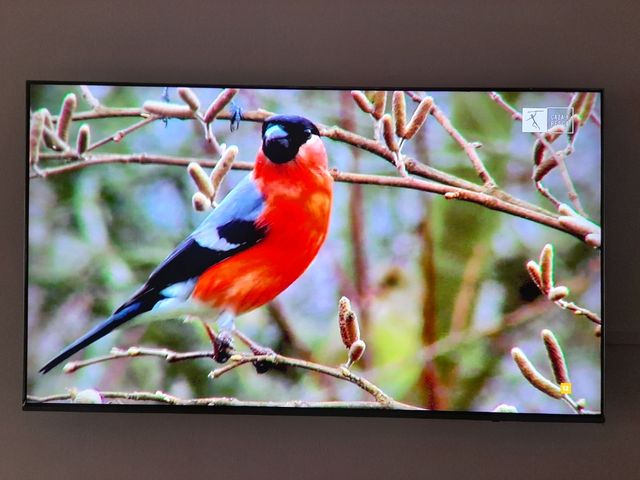 Televisor Samsung QLED 55 4K UHD Plano Serie 6F