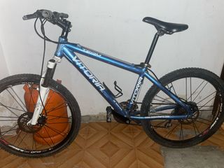 Bicicleta Vitoria Team Azul