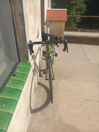Cannondale supersix evo