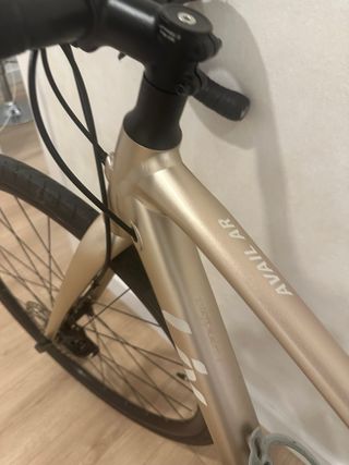Bicicleta Liv Avail AR3 Mujer