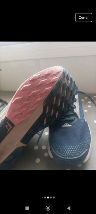 Nike Pegasus Trail 5 GTX Zapatillas