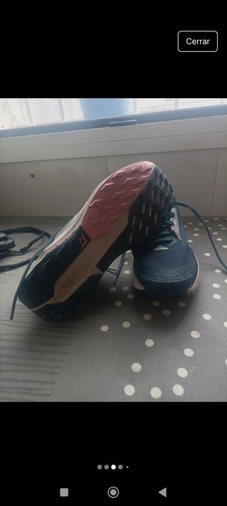 Nike Pegasus Trail 5 GTX Zapatillas