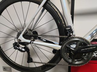 Basso Diamante Disco 2021