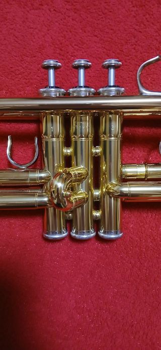 Trompeta japonesa nueva