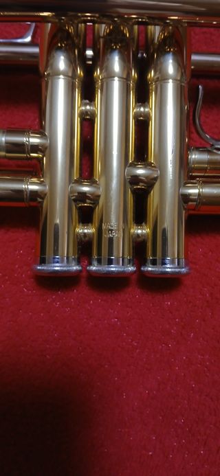 Trompeta japonesa nueva