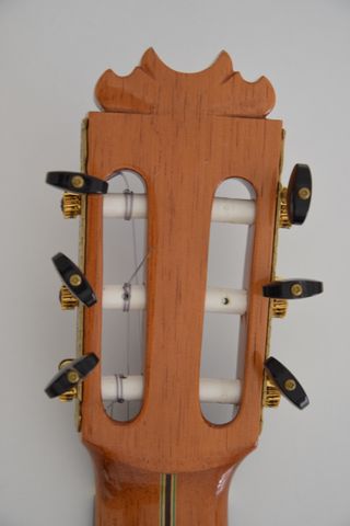 Guitarra Clásica Palosanto Concierto