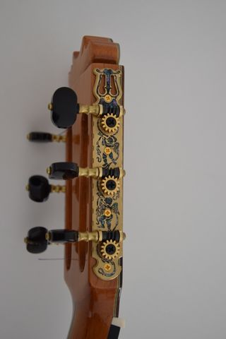 Guitarra Clásica Palosanto Concierto