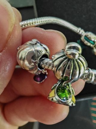 Lote 5 charms Princesas Disney Plata 925