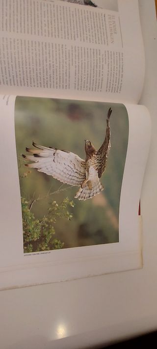 Fotógrafos, Pintores y Escritores de la Naturaleza