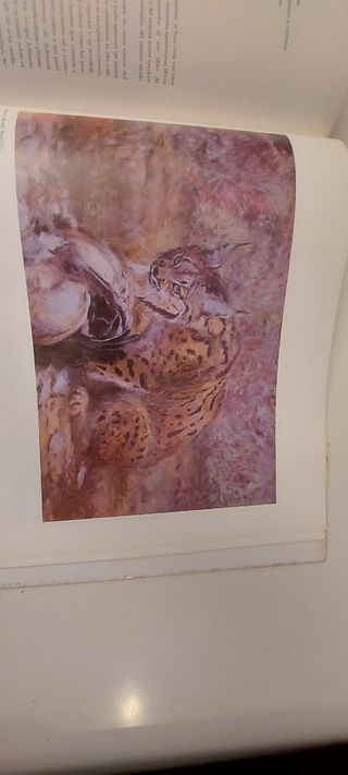 Fotógrafos, Pintores y Escritores de la Naturaleza