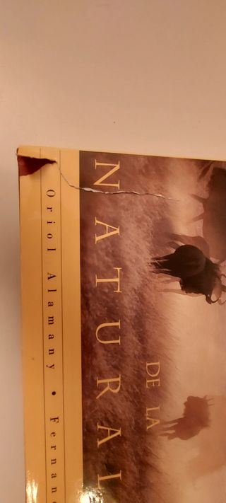 Fotógrafos, Pintores y Escritores de la Naturaleza