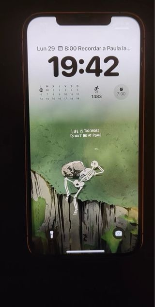 iPhone 12 Pro Max 256GB