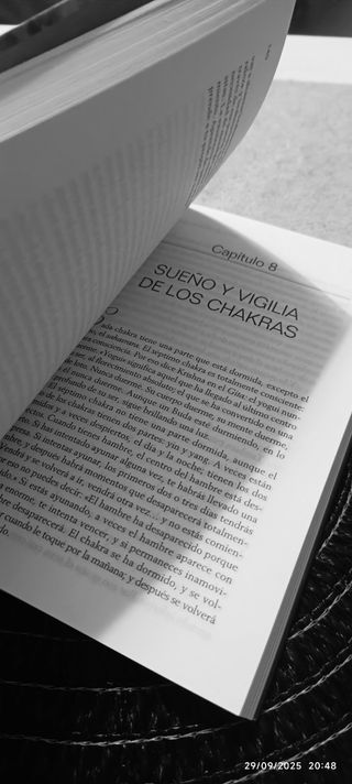 El Libro de los Chakras (Spanish Edition)