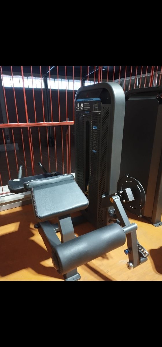 Gimnasio completo Salter Profesional