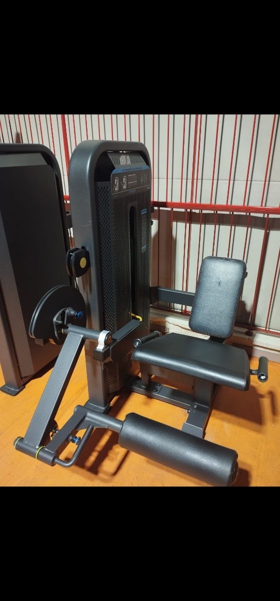 Gimnasio completo Salter Profesional