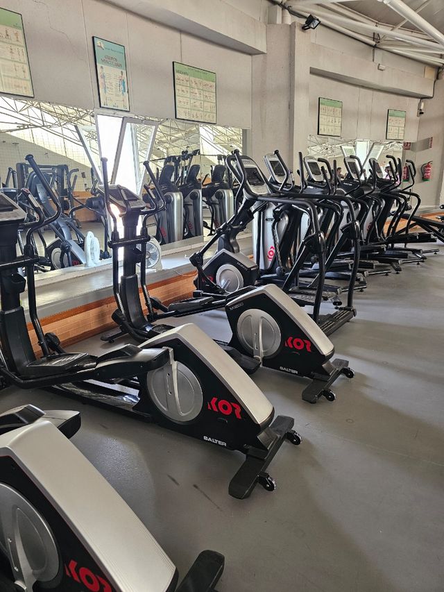 Gimnasio completo Salter Profesional