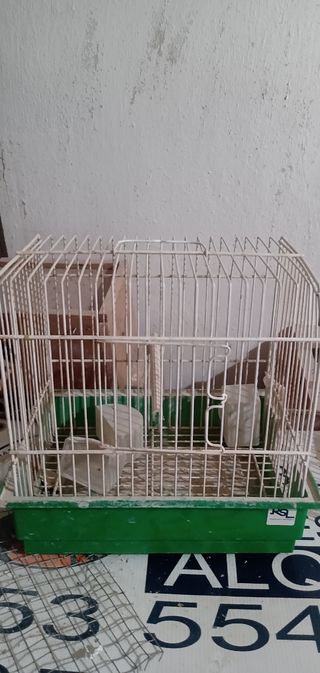 Jaulas para pájaros