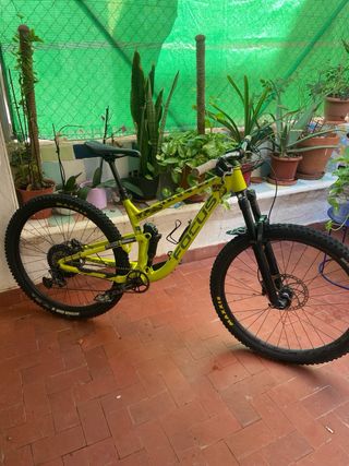 Focus Jam 6.8 Nine 29 2019