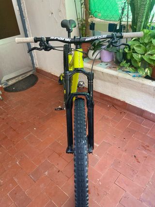 Focus Jam 6.8 Nine 29 2019