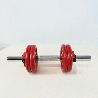 Mancuerna ajustable 10kg con discos pesas gimnasio