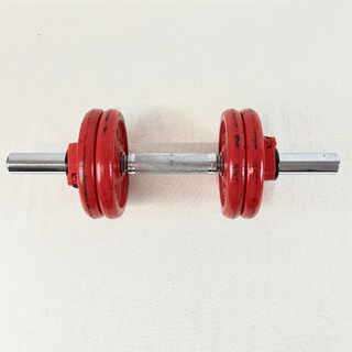 Mancuerna ajustable 10kg con discos pesas gimnasio