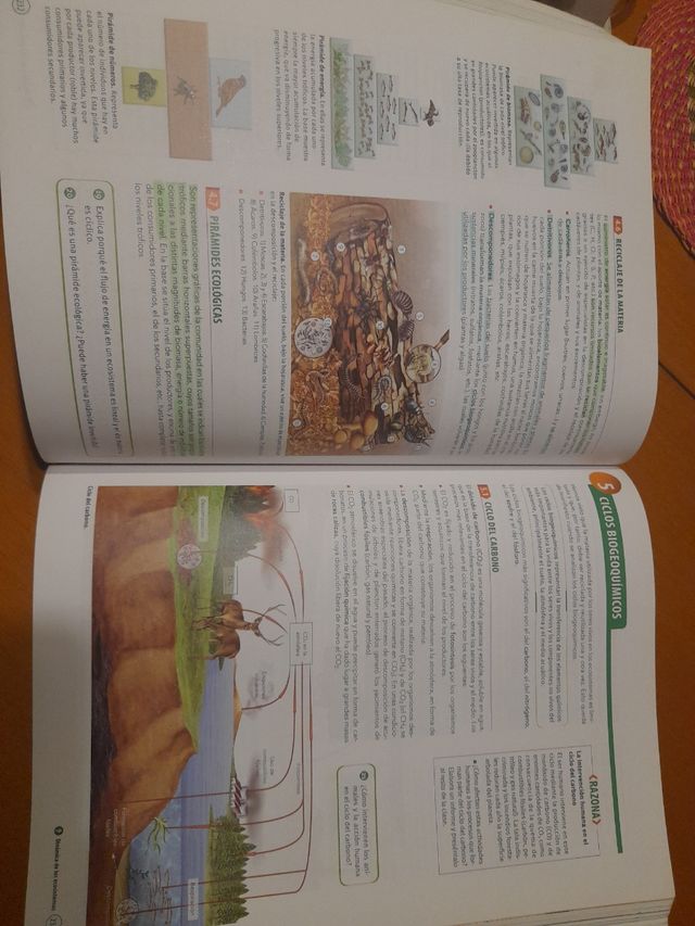 Biología, Geología y Ciencias Ambientales 1 Bac...