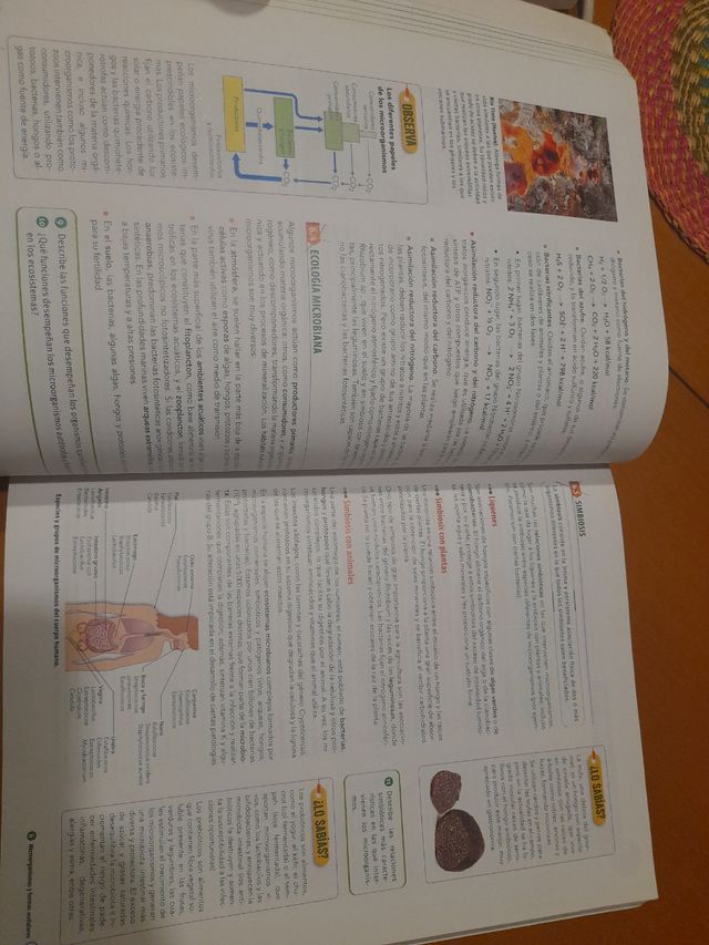 Biología, Geología y Ciencias Ambientales 1 Bac...
