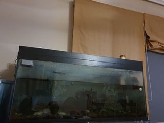 Acuario 250L Negro/Transparente