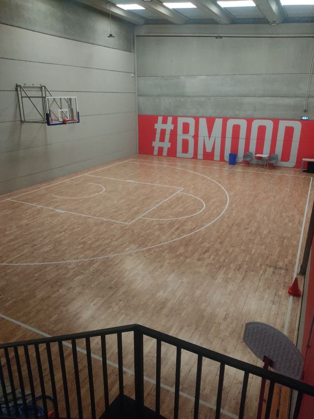 Tarima deportiva de madera