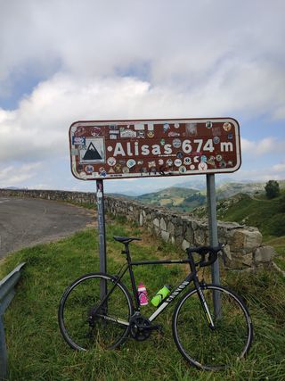Bicicleta Canyon Endurance AL
