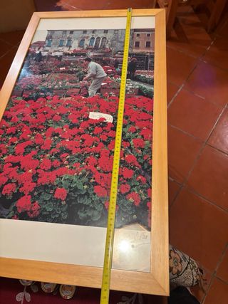 Poster foto Fulvio Roiter incorniciato