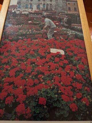 Poster foto Fulvio Roiter incorniciato