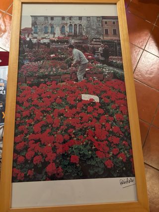 Poster foto Fulvio Roiter incorniciato