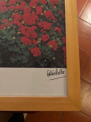 Poster foto Fulvio Roiter incorniciato