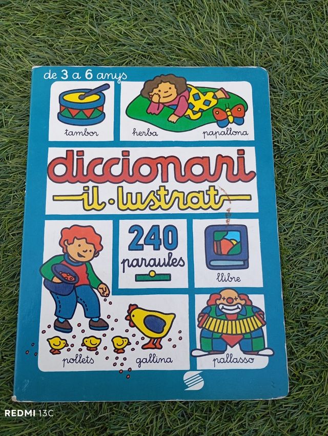 Diccionario Ilustrado Infantil 3-6 años