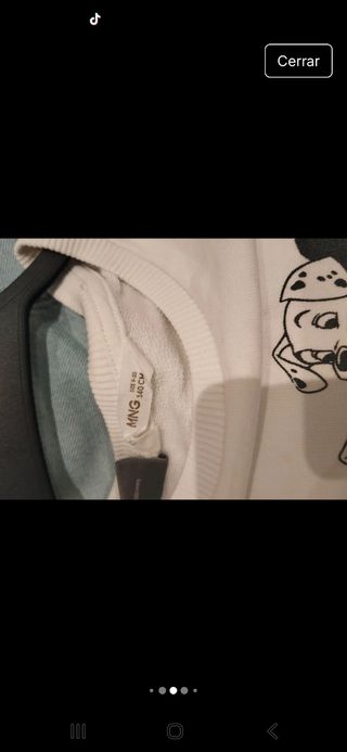 Lote ropa niña Zara Talla 10 (140cm)