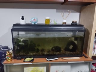 Acuario 140L Negro