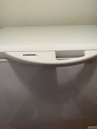 Congelador Horizontal Liebherr GT 3002