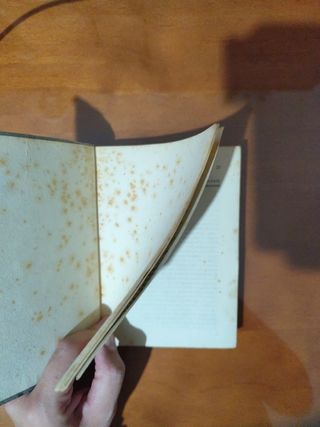 LIBRO: "El maleficio de los Dain".