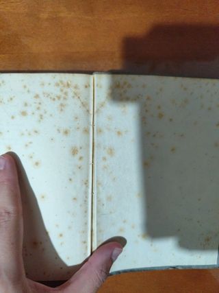 LIBRO: "El maleficio de los Dain".