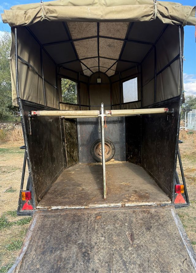 Remolque dos caballos matrícula blanca 