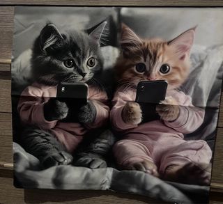 Federa x cuscino 45x45 cm gattini