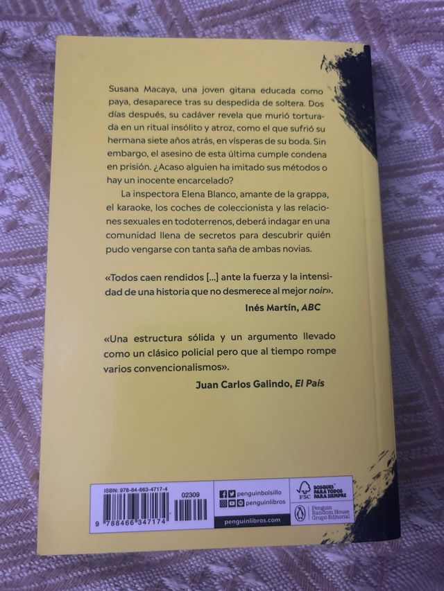 La novia gitana (La novia gitana 1)