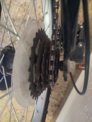 2 bici per 100€ 