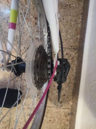 2 bici per 100€ 