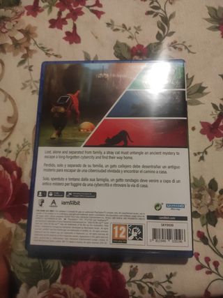 Stray PS5