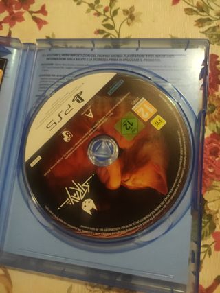 Stray PS5