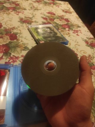 Stray PS5