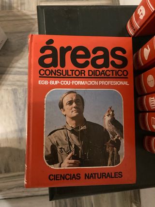 Enciclopedia Áreas Consultor didáctico