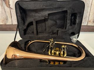 Fliscorno Soundman EFH-601